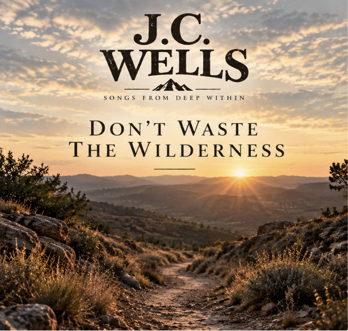 Don’t Waste the Wilderness artwork