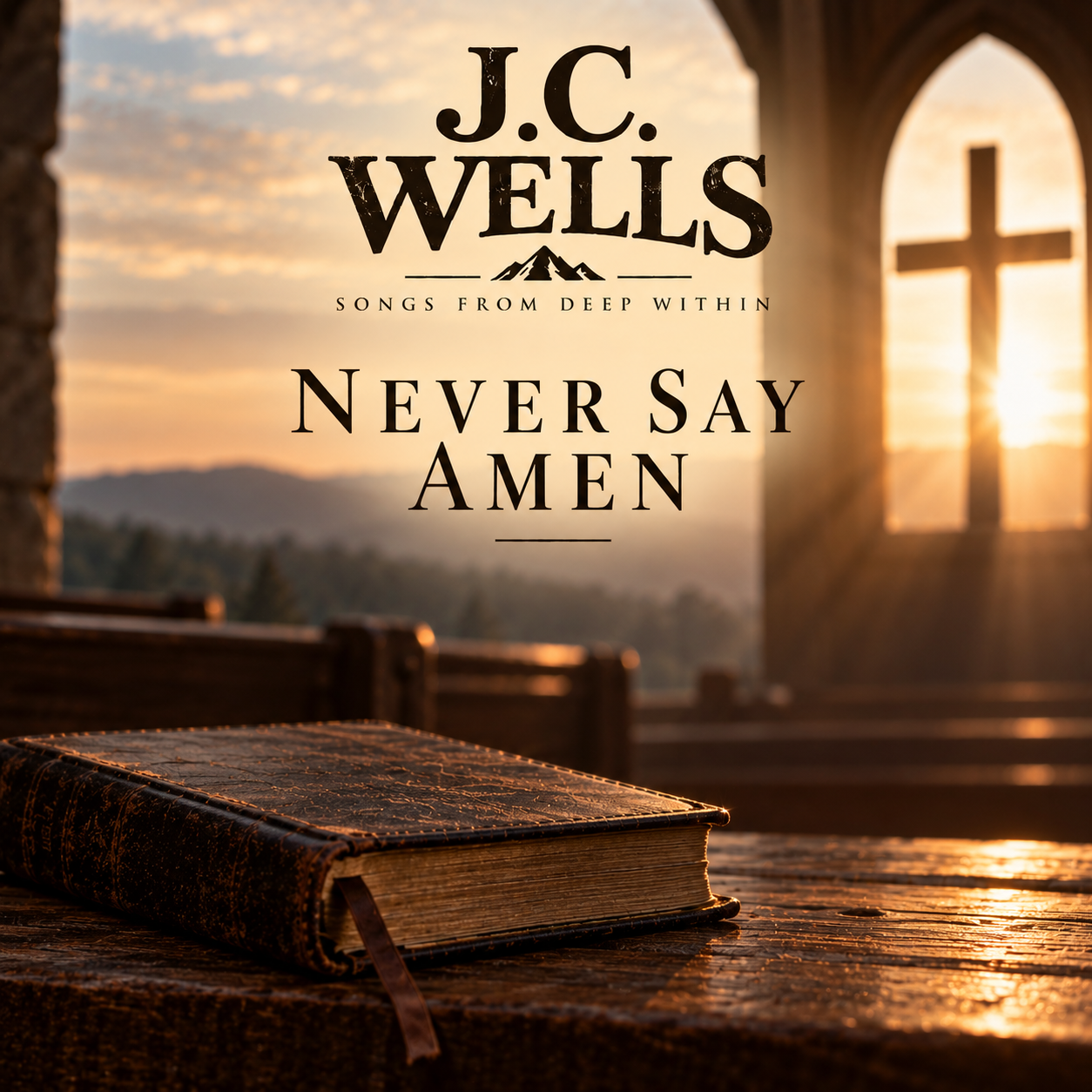 Never Say Amen artwork